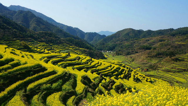 婺源