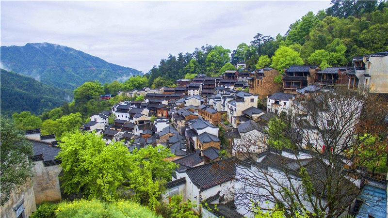 篁岭